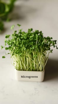 Microgreens sprouts background, concept of healthy eating, copy space, AI Generated