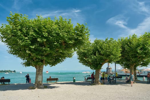 Shore of Lake Constance in Constance with a wonderful view of the lake and plane trees for shade