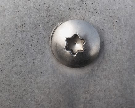 detail of a torx screw on a metal plate