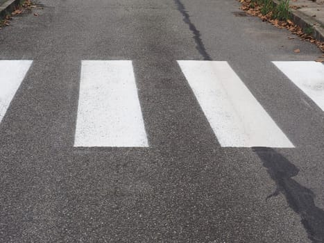 Warning signs, zebra crossing traffic sign in local street