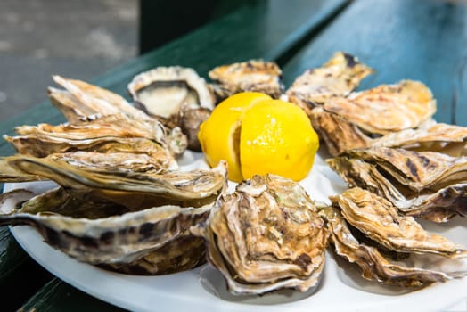 A dozen oysters and a lemon on a plastic plate eating outdoors near the sea