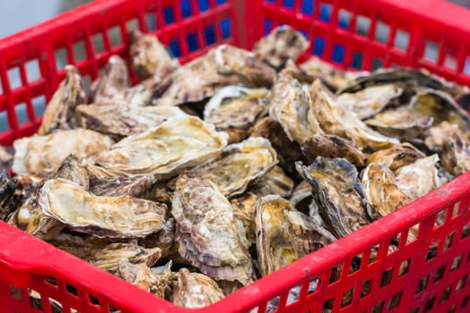 Oysters market in Cancale, Brittany, France. Shot with a selective focus