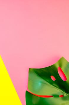 Tropical jungle palm monstera leaves on bright yellow and pink paper background. Summer creative pop art flat lay concept template for text