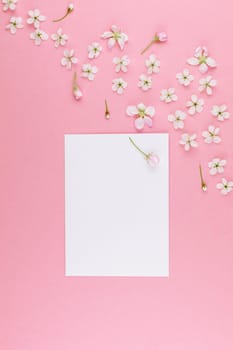 Creative flat lay concept top view of blank postcard frame mock up and cherry tree flowers on pastel millennial pink background with copy space in minimal style, template for lettering, text or design