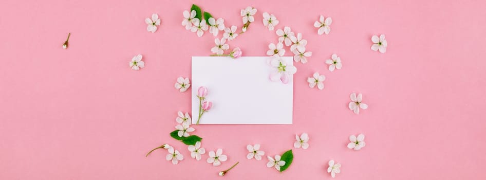Creative flat lay long wide banner of blank letter envelope and spring cherry tree flowers on millennial pink background with copy space in minimal style, template for celebration, valentine cards
