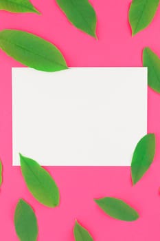 Creative flat lay top view pattern with fresh green leaves on bright pink background with postcard mock up and copy space in minimal pop art style, template for text