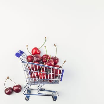 Square image of ripe cherries in a shopping cart with copy space isolated on white background in minimal style. Concept of supermarket or fruit market shopping. Template for your text or design.
