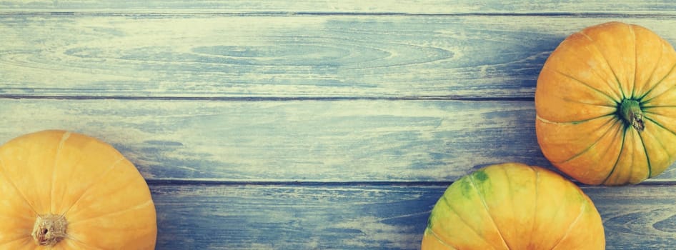 Top view of autumn orange pumpkins thanksgiving background over blue toned wooden table with copy space. Long wide banner for fall harvest mood text