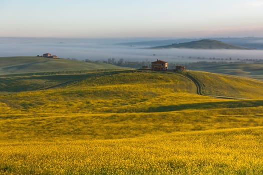 Morning fog view on farmhouse at Valley d?Orcia in Tuscany, Italy
