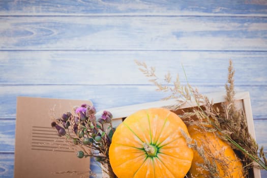 Top view of autumn orange pumpkins and dry flowers and grass in box thanksgiving background over blue toned wooden table with copy space. Template for fall harvest mood text