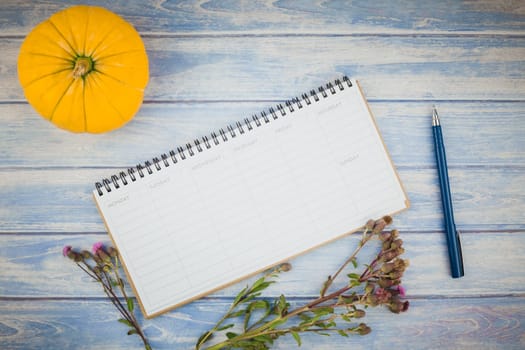 Top view of autumn orange pumpkins and dry flowers with grass thanksgiving background over blue toned wooden table with blank timetable mock up and copy space in rustic style, template for text