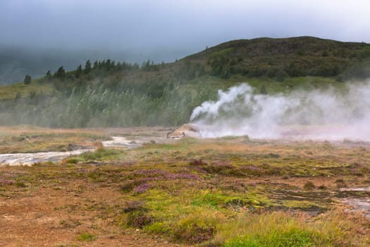 Small Smidur Geyser boiling. Iceland, Geysers Valley
