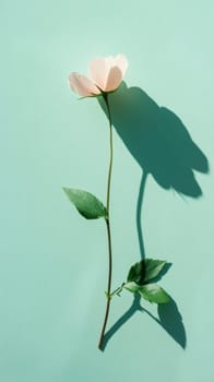 Single pink flower with green leaves casting shadow on mint background, AI Generated