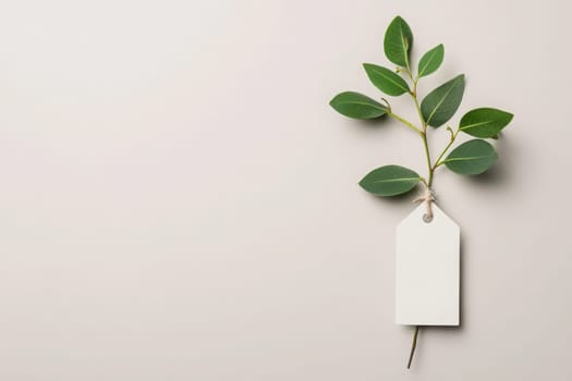 A clean minimalist design showcases a fresh green branch with glossy leaves, elegantly attached to a blank price tag. The soft beige backdrop enhances the simplicity and freshness of the composition.