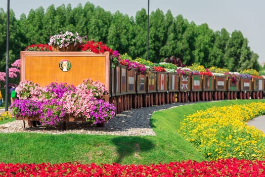 UAE, DUBAI - DECEMBER 30: dubai miracle garden with over million flowers on a sunny day December 30, 2014