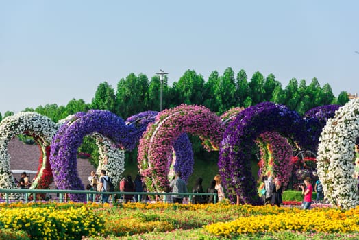 UAE, DUBAI - DECEMBER 30: dubai miracle garden with over million flowers on a sunny day December 30, 2014