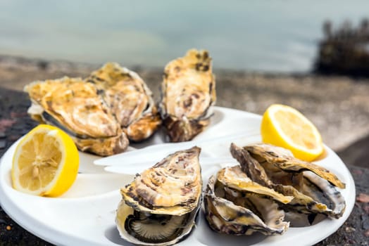 Half a dozen oysters with a lemon on a plastic plate eating outdoors near the sea