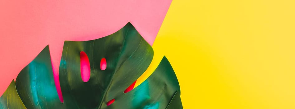 Tropical jungle palm monstera leaves on bright yellow and pink duotone paper background. Summer creative flat lay concept template for text. Long wide banner