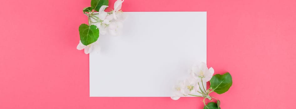 Long wide banner concept top view of blank postcard frame mock up and apple tree flowers petals on pastel pink background with copy space in minimal style, template for lettering, text or your design