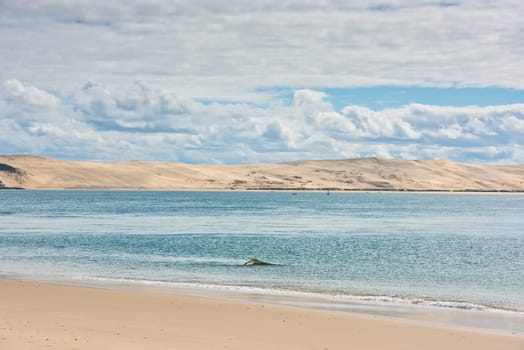 View of The Arcachon Bay and The Duna of Pyla, Aquitaine, France