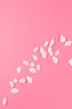 Creative flat lay concept top view of flying apple tree flowers petals on pastel pink background with copy space in minimal style, template for text