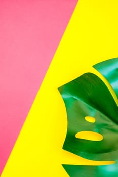 Tropical jungle palm monstera leaves on bright yellow and pink paper background. Summer creative flat lay concept template for text