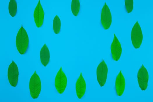 Creative flat lay top view pattern with fresh green leaves on bright blue background with copy space in minimal pop art style, template for text