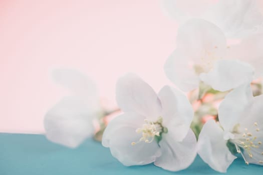Apple blossoms over blurred color background. Spring flowers creative macro image with bokeh. Shallow depth of field. Spa and wellness concept