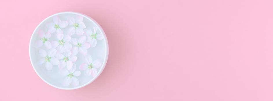 Creative flat lay concept top view of aroma bowl with water and white spring blossoming apple tree flowers on pastel pink paper background with copy space in minimal style, long wide banner
