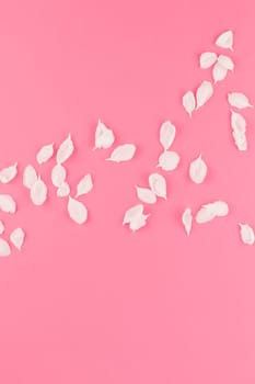 Creative flat lay concept top view of flying apple tree flowers petals on pastel pink background with copy space in minimal style, template for text