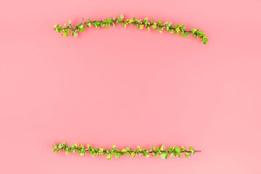 Creative flat lay concept top view of spring blossoming barberry branch with green leaves, barbs and yellow flowers on pastel color paper background with copy space in minimal style, template frame