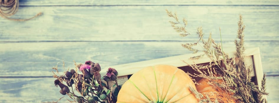 Top view of autumn orange pumpkins and dry flowers and grass in box thanksgiving background over blue toned wooden table with copy space. Template for fall harvest mood text. Long wide banner