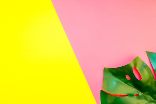 Tropical jungle palm monstera leaves on bright yellow and pink paper background. Summer creative flat lay concept template for text