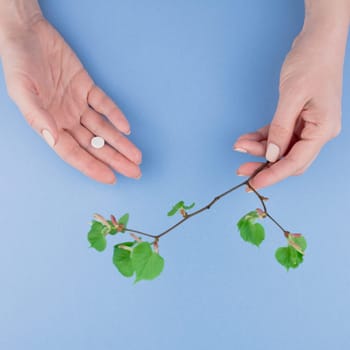 Creative flat lay concept of seasonal spring pollen allergy with a pill in a female hands and fresh green sprouts with buds with square copy space background minimal style, template for text