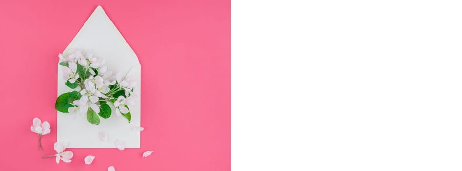 Creative flat lay long wide banner of blank letter envelope and apple tree flowers on millennial pink background with copy space in minimal style, template for celebration, invitation, valentine cards