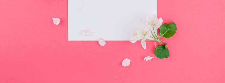 Long wide banner concept top view of blank postcard frame mock up and apple tree flowers petals on pastel pink background with copy space in minimal style, template for lettering, text or your design