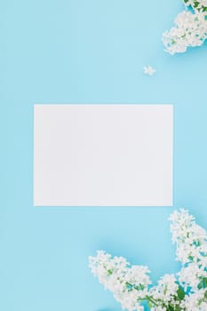 Creative flat lay concept top view of blank postcard frame mock up and white lilac flowers petals on pastel blue background with copy space in minimal style, template for lettering, text or design