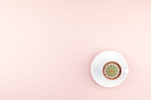 Creative flat lay overhead top view small pot with decorative cactus plant in cup with copy space millennial pink paper background in minimalism style. Trendy template for feminine blog social media