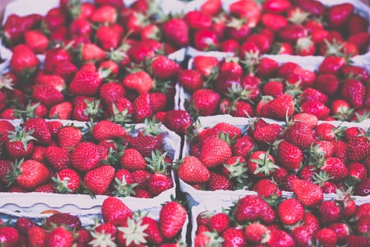 Natural organic strawberries in boxes at a farmers market