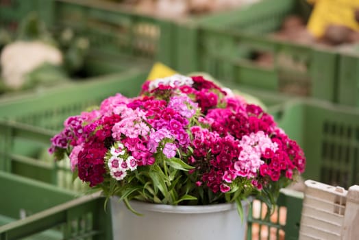 Beautiful carnation flowers selling at an european market