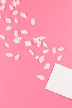 Creative flat lay concept top view of blank letter mock up and apple tree flowers petals on pastel pink background with copy space in minimal style, template for text