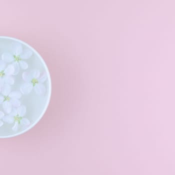 Creative flat lay concept top view of aroma bowl with water and white spring blossoming apple tree flowers on pastel pink paper square background with copy space in minimal style, template for text
