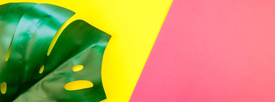 Tropical jungle palm monstera leaves on bright yellow and pink duotone paper background. Summer creative flat lay concept template for text. Long wide banner