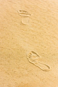 Human footprints on the sand of the beach. Vertical shot