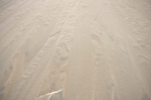 Close up of the dune of Pyla, Europe's highest dune