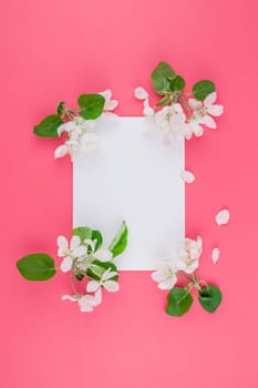 Creative flat lay concept top view of blank postcard frame mock up and apple tree flowers petals on pastel pink background with copy space in minimal style, template for lettering, text or your design