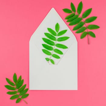 Creative flat lay top view white letter mock up with fresh green rowan tree leaves on bright pink square background with copy space in minimal duotone pop art style, template for text