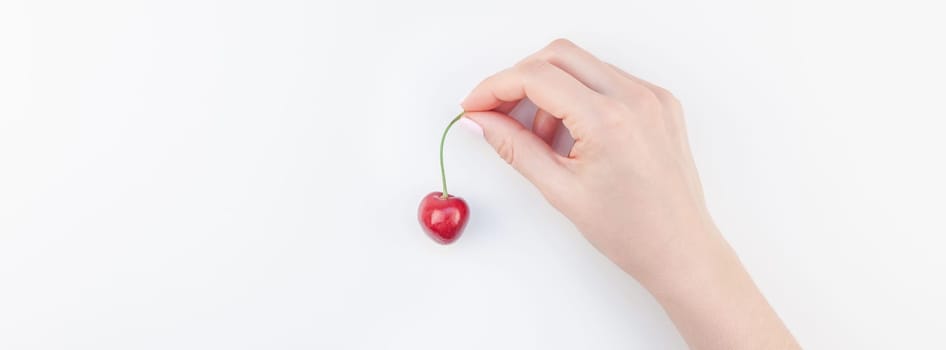 Long wide banner of fresh ripe cherry in a female hands with copy space isolated on white background in minimal style. Concept of summer fun and healthy eating. Template for your text or food design