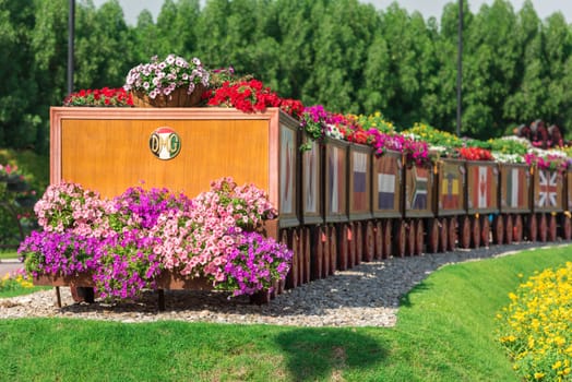UAE, DUBAI - DECEMBER 30: dubai miracle garden with over million flowers on a sunny day December 30, 2014