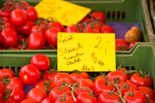GERMANY, NUREMBERG - MAY 21: Natural organic tomatoes in boxes on farmer's market on May 21, 2015